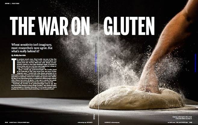 학술지 ‘사이언스’ 5월 25일자에는 밀가루 음식 유해성의 주요 원인이 글루텐인가에 대한 최근 연구결과와 과학자들의 논쟁을 다룬 심층기사가 실렸다. - ‘사이언스’ 제공
