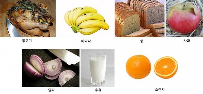 과민대장증후군인 사람이 FODMAP이 많이 들어있는 음식 섭취를 줄이자 증상이 완화된다는 연구결과 있다. 다음 중 FODMAP이 많이 들어있는 음식은? (정답은 에세이 끝에 있다.) - 위키피디아 제공