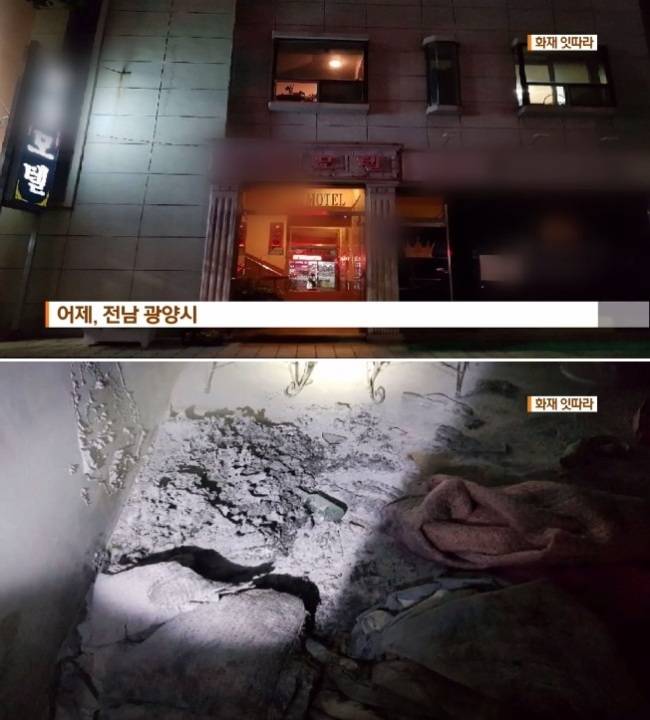 [사진=KBS 뉴스 캡처]