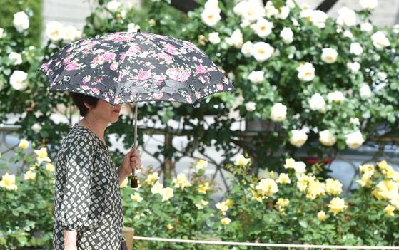 대구 달서구 이곡동 장미공원을 찾은 시민이 양산을 쓰고 뜨거운 태양을 가리며 걷고 있다. [뉴시스]