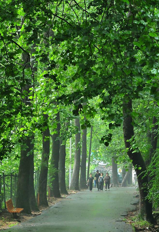 아침운동에 나선 대전시민들이 보문산 순환로를 오르고 있다. 대전시 제공