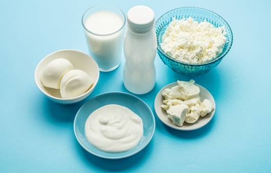 유제품