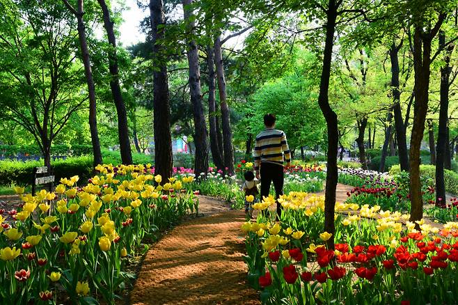 장려상 <아빠랑> 김만용. 서울숲