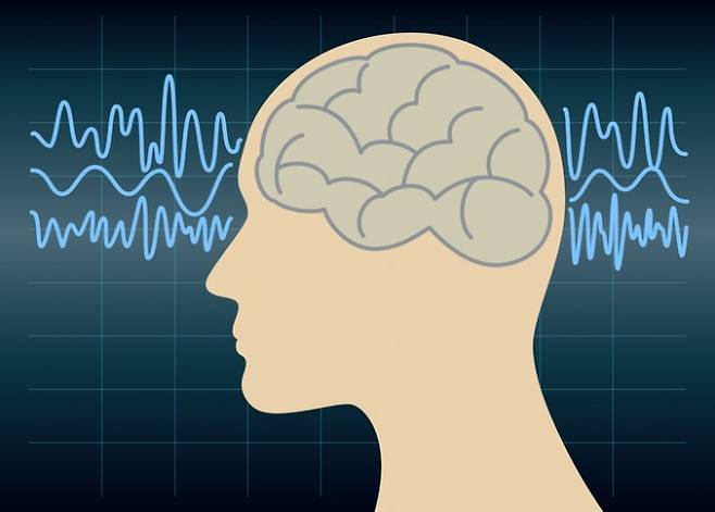 뇌가 아주 큰 사람은 에너지 소모량도 늘어나기 마련이다 -사진 GIB 제공