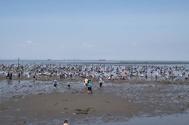 훗쯔해안의 조개캐기 체험장. 수천명의 가족 단위 관광객들이 조개를 캐는 모습이 장관이다. ⓒ지상훈