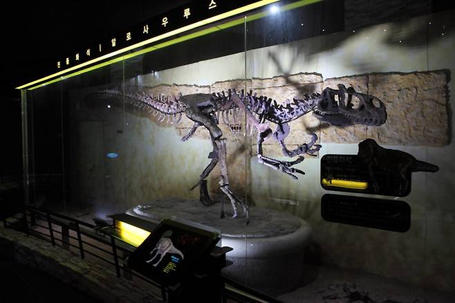 아시아 최초로 공개된 알로사우루스 진품 화석
