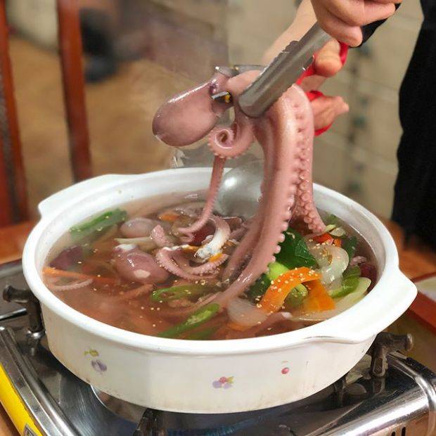 독천낙지골(이미지=인스타그램ID_usperta1)