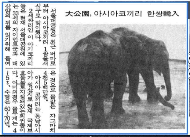 칸토가 서울동물원에 올 때 기사. 경향신문 1985년 6월15일자 10면. 네이버 뉴스라이브러리
