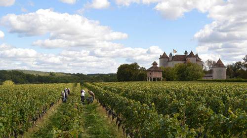 샤토 라그레제트 와이너리와 포도밭 풍경. 출처=홈페이지