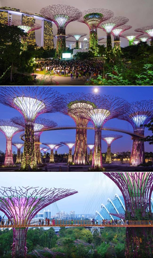 [가든스바이더베이 트리쇼. 사진출처=가든스바이더베이 홈페이지]