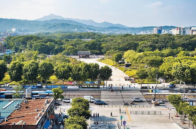 세운옥상에서 바라본 종묘.