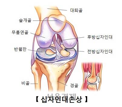 *출처: 서울아산병원