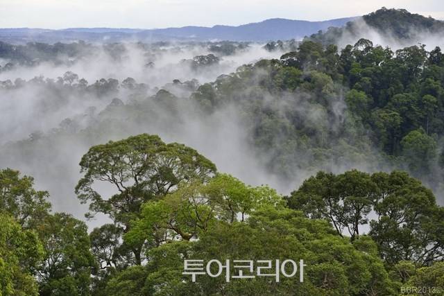 ▲ 울루 템부롱 국립공원