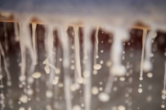 발효중인 막걸리. [사진 복순도가]