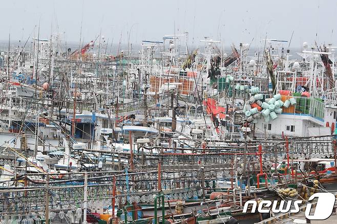 제7호 태풍 '쁘라삐룬'이 우리나라를 향해 북상하고 있다. 1일 오후 제주시 한림항에 어선들이 정박해 있다.2018.7.1/뉴스1 © News1 이석형 기자