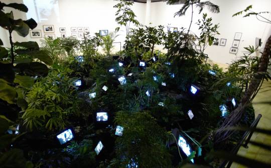 백남준 ‘TV 정원(TV Garden)’ 1974/2002년작 ⓒNam June Paik Studios /사진제공=백남준아트센터