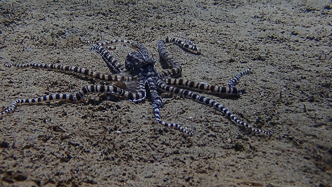 제임스 정 제공