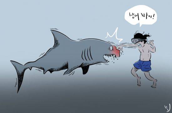 최근 동해안에서 백상아리가 발견되며 인근 해수욕장의 피서객에 각별한 주의가 요망되고 있다. 일러스트 = 오성수 작가