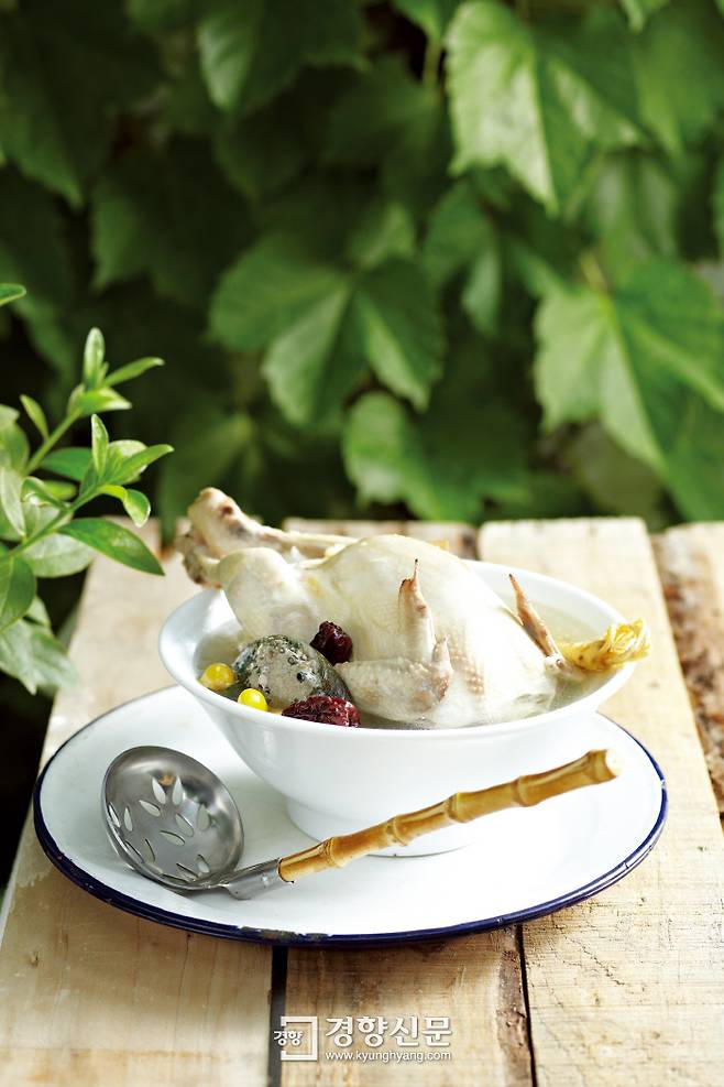 경향신문 자료사진