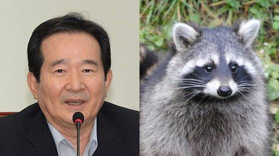 정세균 前국회의장은 말년까지 복(福) 많은 너구리상이다. [사진 백재권]