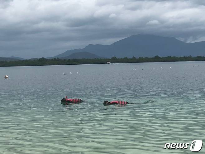 호핑투어를 즐기고 있는 관광객 © News1 문대현 기자