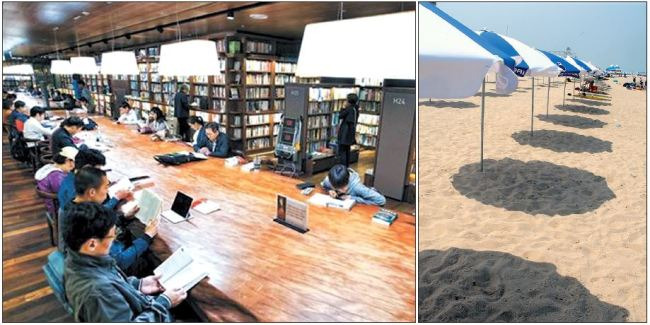 서울의 한 서점에서 책을 읽고 있는 사람들의 모습(왼쪽 사진). 폭염이 기승을 부린 23일 오후 강원 강릉시 경포해수욕장이 한산하다. [헤럴드경제DB·연합뉴스]
