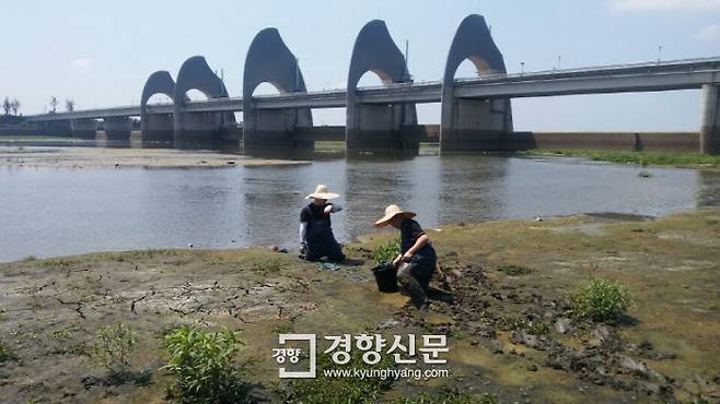 6일 박창근 대한하천학회 회장과 연구진이 펄이 가득깧인 영산상 승촌보 현장조사를 진행하고 있다.