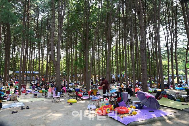 경기도 광주 금원수목원수영장