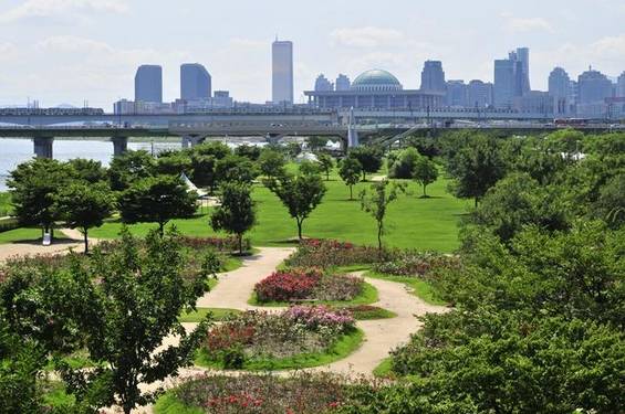 국회의사당 쪽 풍경