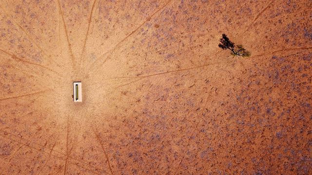 겨울을 보내고 있는 호주에서 가뭄으로 고통을 겪고 있는 가운데 지난 7월 20일(현지시간)  뉴사우스 웨일스주 왈겟 외각 마을의 가뭄으로 말라버린 한 목장에 나무 한 그루가 외로이 서 있다.  로이터 연합뉴스