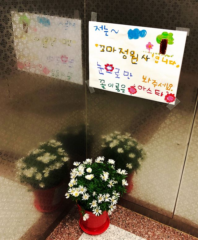 ’꼬마 정원사’ 김강후(8)군이 경기 부천시 중동 자신의 아파트 엘리베이터에 놓아 둔 화분과 안내문. 길의준(33)씨 제공.