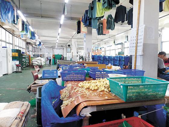 대전교도소의 알밤 까는 작업장. 외부 민간 업체가 위탁한 작업을 교도소가 유치해 운영 중이다. 재소자들은 밤 껍질을 기계로 벗겨낸 뒤 파란 소쿠리에 담아 칼로 깎아 마무리한다. [윤호진 기자]