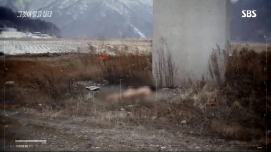 2003년 2월 김모(여·당시 20)씨가 시신으로 발견된 인제대교. 사진=SBS '그것이 알고 싶다' 방송화면 갈무리