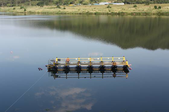 메조코즘 실험 장면 [사진 국립환경과학원]
