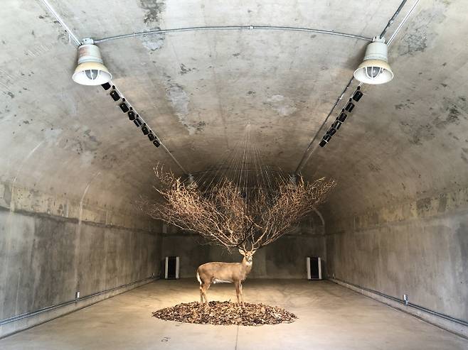 김명범의 ‘플레이그라운드 제로’(사슴). 경기관광공사 제공