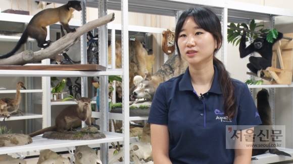 윤지나 박제사가 지난 14일 경기도 과천시 서울대공원 동물원 수장고에서 서울신문과 인터뷰하고 있다. 윤지나 박제사가 지난 14일 경기도 과천시 서울대공원 동물원 수장고에서 서울신문과 인터뷰하고 있다.