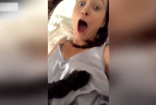 노래가사를 정확히 이해하고 주인의 가슴을 만진 응큼한 강아지(유튜브 영상 캡처)