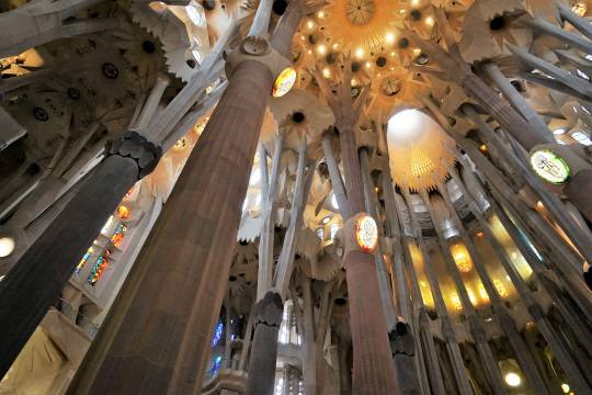 스페인 바르셀로나의 사그라다 파밀리아 대성당 내부. 1882년에 착공, 아직도 지어지고 있으며 건축가인 안토니 가우디가 죽은 지 100년이 되는 2026년에 완공 예정이다. 김광현 교수 제공