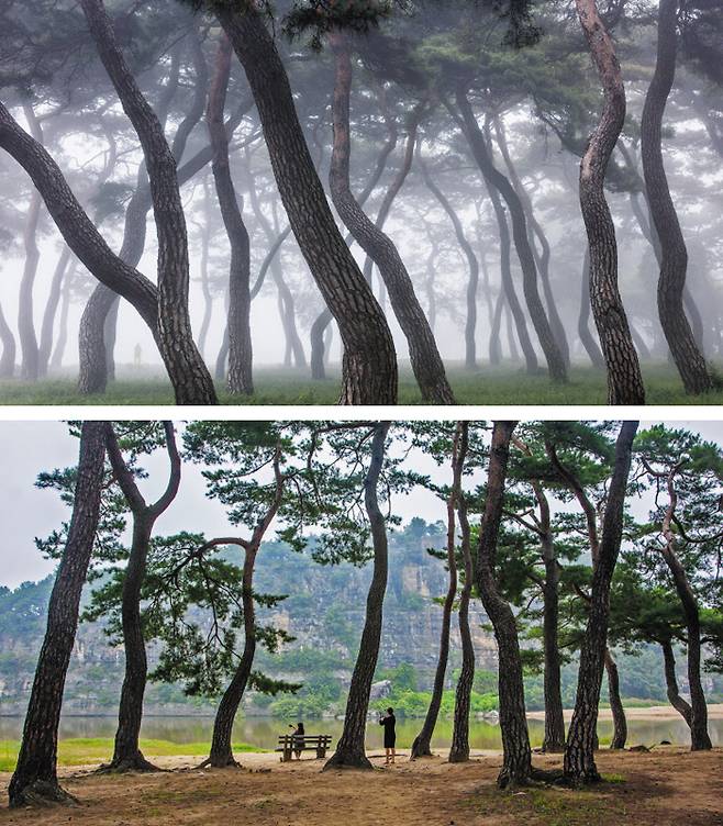 /류신우·경기 용인시