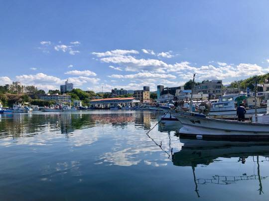강원 양양의 남애항. 영화 속 춘자의 고향은 우도로 설정됐지만 우도는 가상의 공간으로 실제로는 강원 양양의 남애항 일대에서 촬영했다. 강원 3대 미항으로 꼽히는 남애항은 최근 서울-양양 고속도로가 개통되면서 더욱 인기를 끌고 있는 명소로 자리 잡고 있다.