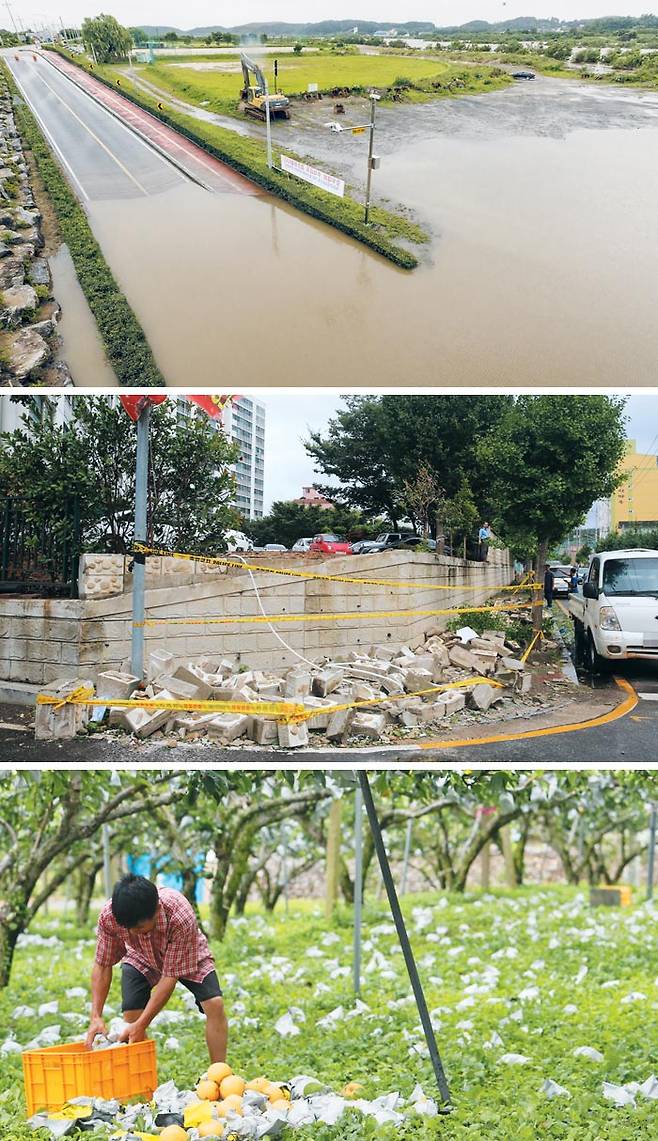 강원도 양양, 물에 잠긴 남대천 산책로… 전남 고흥, 아파트 담장이 와르르… 순천, 강풍에 떨어진 배 - 24일 한반도를 빠져나간 태풍‘솔릭’은 전국 곳곳에 상흔을 남겼다. 이날 많은 비가 내린 강원도 양양군 양양남대천의 물이 범람해 산책로가 물에 잠겼다(위 사진). 전남 고흥군 고흥읍의 한 아파트는 담장 일부가 무너져 내렸다(가운데). 전남 순천시 낙안면 신기리의 배 과수원에서 농민이 강풍에 떨어진 배를 주워담고 있다(아래). /김지호 기자·연합뉴스