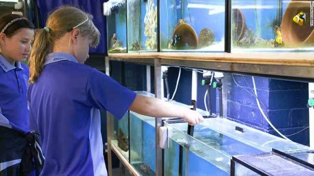 호주 ‘니모 구하기’ 캠페인 참여 학교 학생들 (출처:CNN)