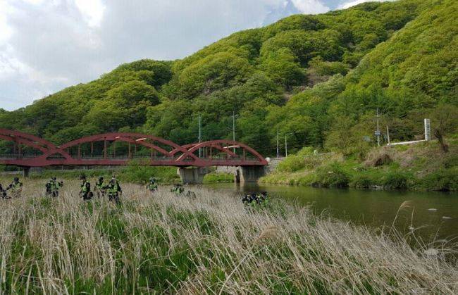 서울 종암경찰서 형사팀이 경기도 포천 묘지공원 부근에서 실종자를 찾고 있는 모습. [서울지방경찰청 형사과 제공]