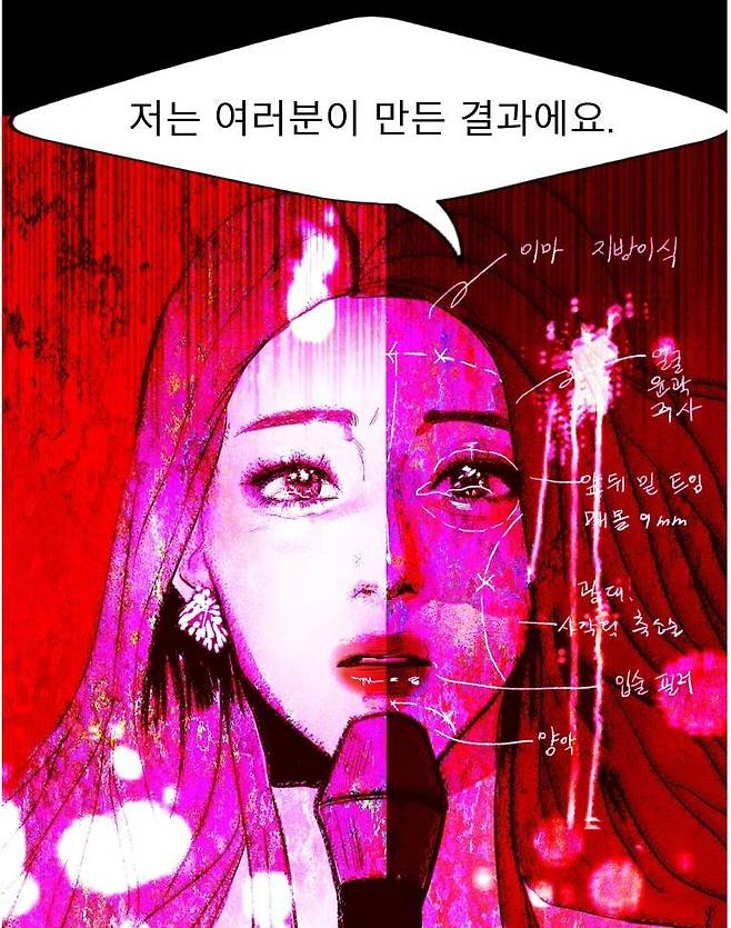 ‘껍데기’의 한태희는 7천여만원이 넘는 성형 수술을 받고 누구나 꿈꾸는 ‘미인’이 된다. 웹툰 화면 갈무리
