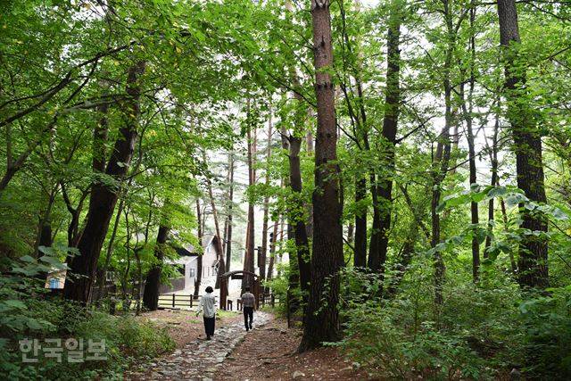 등산을 하지 않더라도 잠시 쉬어가기 좋다.  오후 1시 이후에는 들어갈 수 없다.