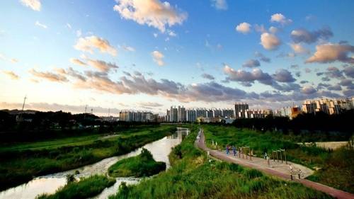 오는 14일부터 3일간 전주 반딧불이 탐방 행사가 펼쳐질 삼천상류 모습.