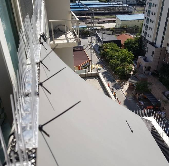 아파트 베란다의 비둘기 집을 제거한 뒤 판넬과 스파이크를 설치한 모습 [사진 구구가가]