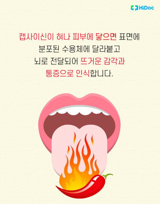 캡사이신 화상4