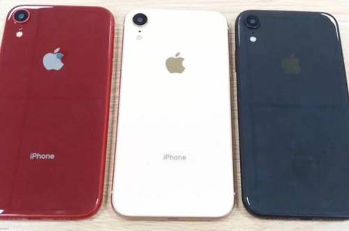 아이폰 엔트리 모델 이름은 'XC' [IT매체 더 버지 홈페이지 캡처]