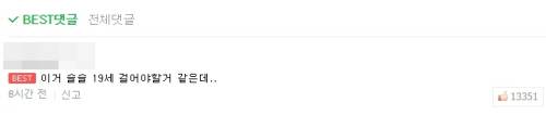 해당 웹툰 댓글에는 '19세 이상 관람이 필요해 보인다'는 의견이 게재돼 1만 3351번의 공감이 이뤄졌다. (사진= 네이버 웹툰 캡처)